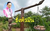 โครงการชั่งหัวมัน