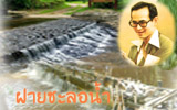 โครงการฝายชะลอน้ำ