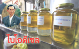 โครงการ ไบโอดีเซล